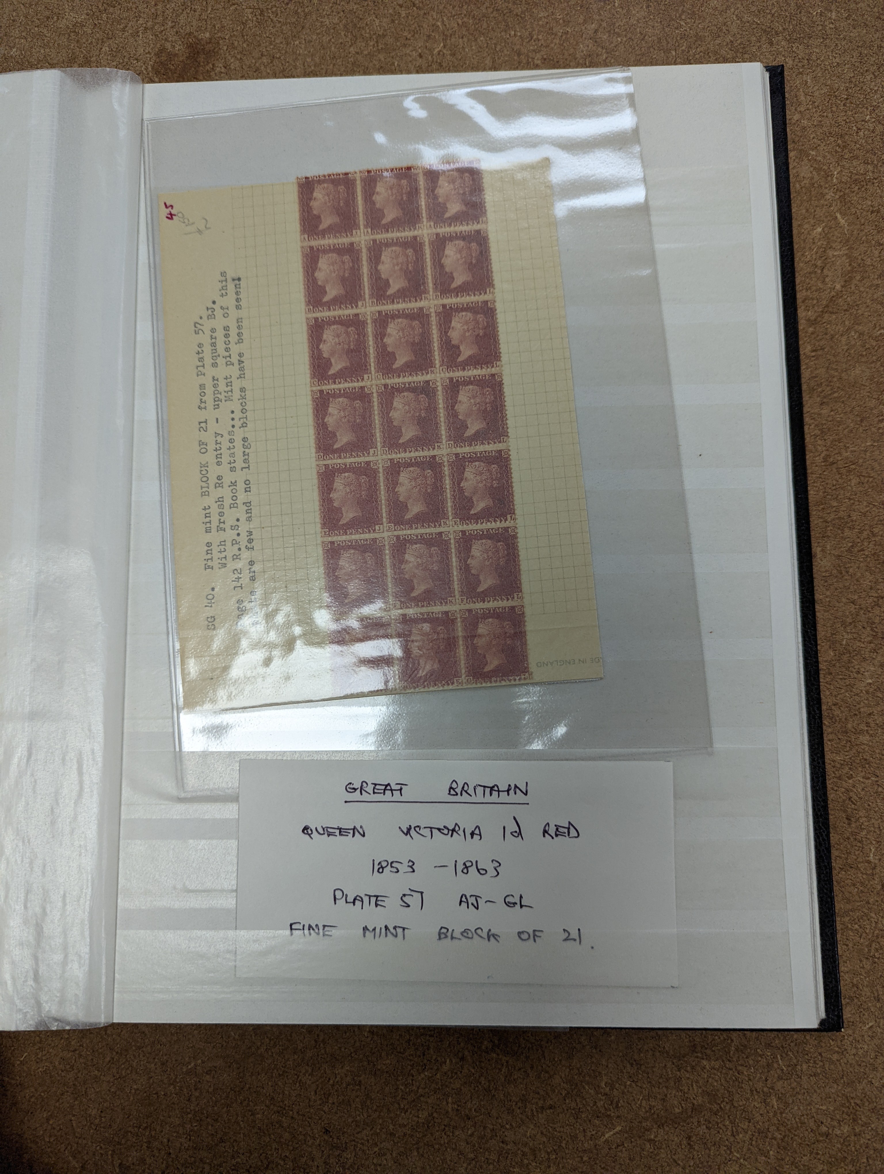 Great Britain stamps in stock book with 1840 1d black and 1841 2d blue unused. 1841 1d red brown mint block of 8, 1864-79 1d red plates in mint blocks including plate 79 block of 48, plate 170 block of 6 with marginal in